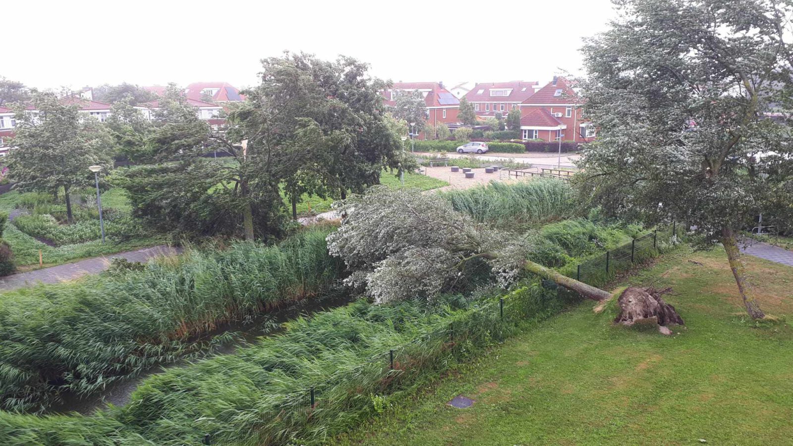 Sporen storm Poly nog steeds hier en daar zichtbaar