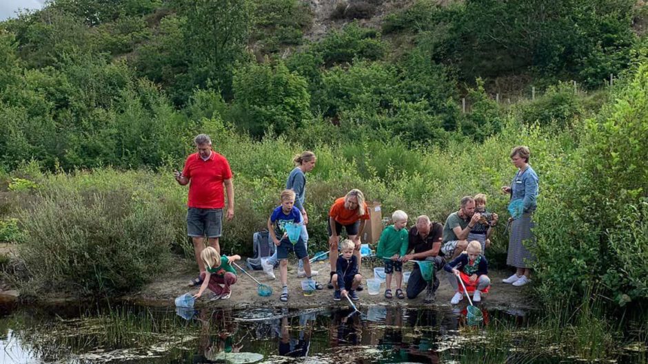 Ga met de natuurgids op zoek naar eetbare planten in de Eilandspolder