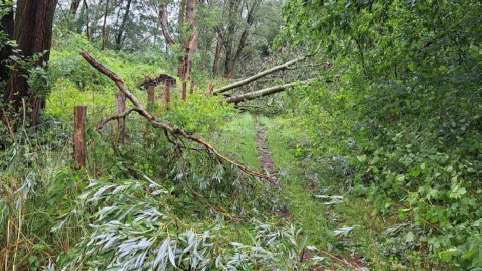 200 bomen gesneuveld in Heiloo door Storm Poly