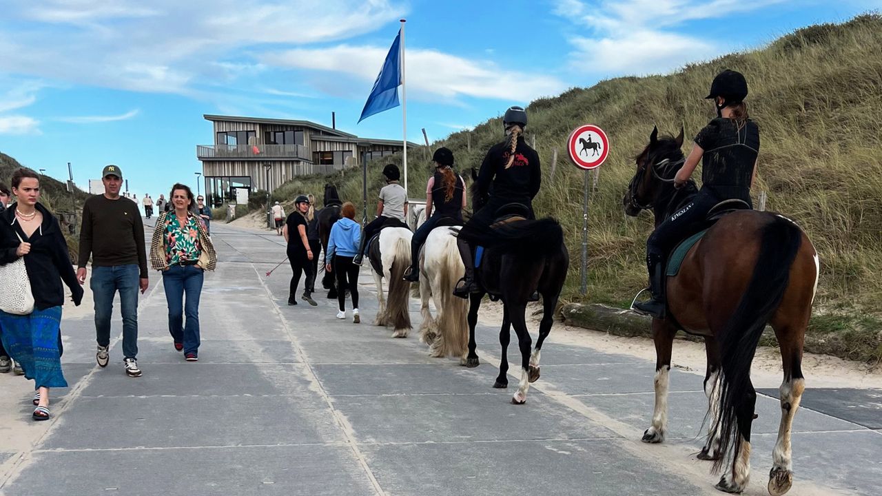 Paardenverbod blijkbaar niet boeiend, strandbezoekers zijn het zat