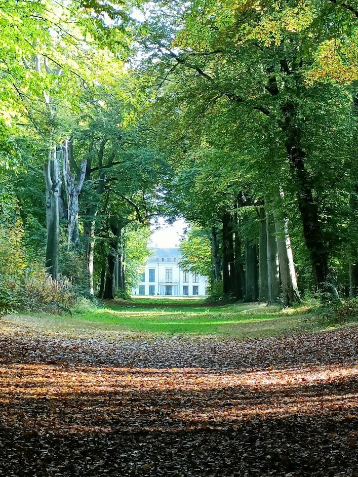 De 5 mooiste kustwandelingen van Noord-Holland samengesteld door Wandelnetwerk NH