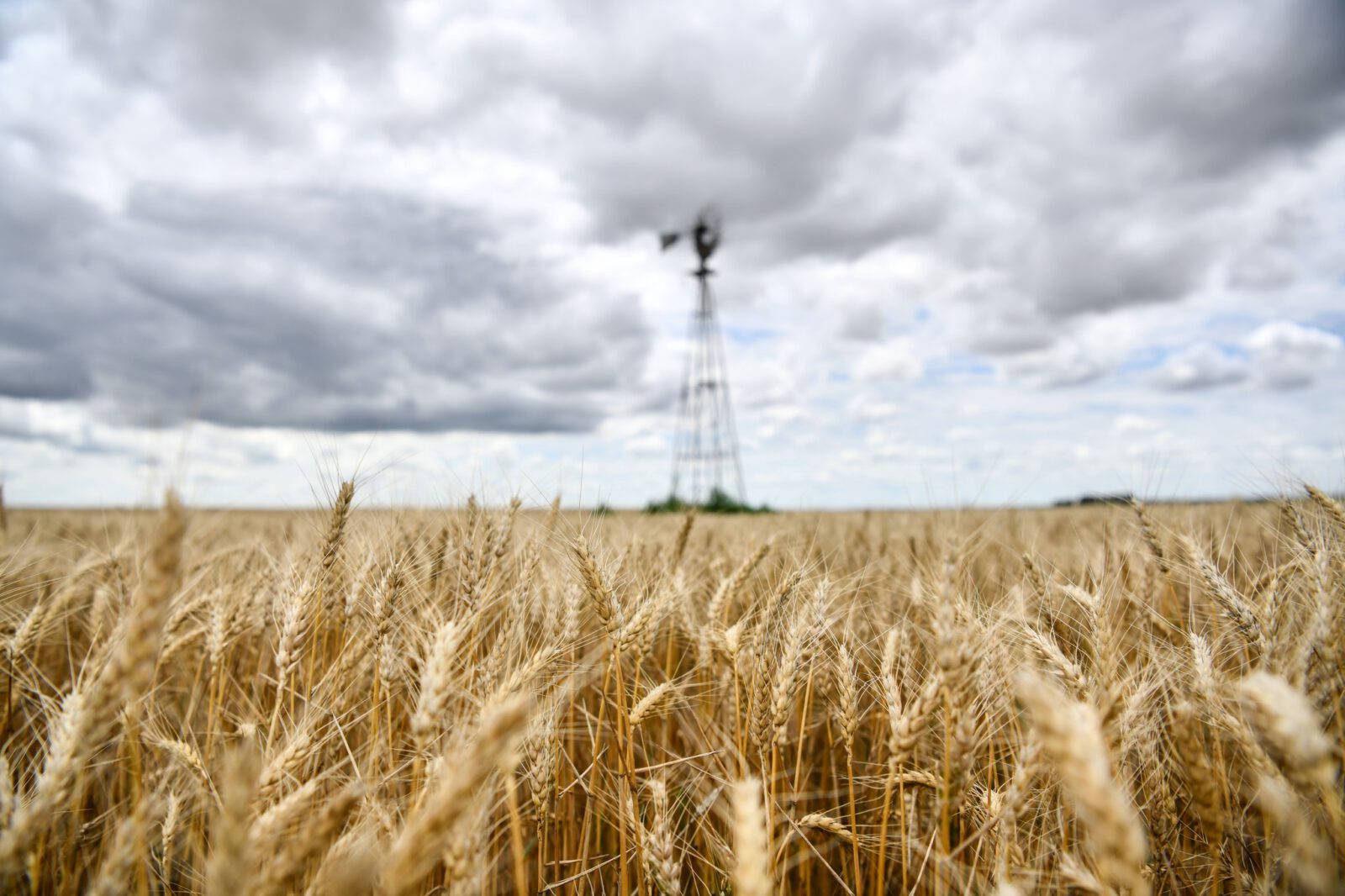 Vanochtend vroeg langs de westkust en in het Waddengebied kans op (zware) windstoten