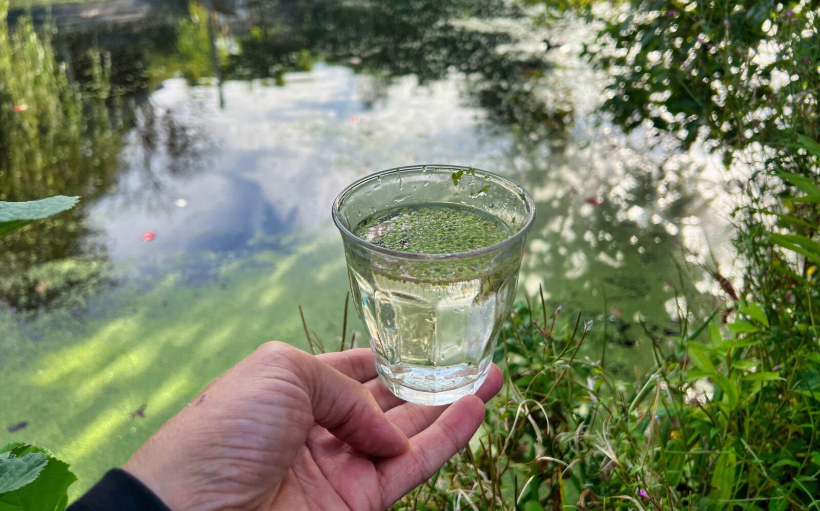 Op Nationale Kraanwaterdag vraagt Partij voor de Dieren aandacht voor waterkwaliteit