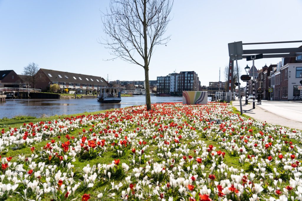 Alkmaar gaat kleurrijk de lente tegemoet dankzij stadswerk072!