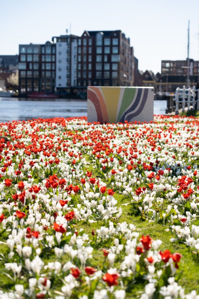 Alkmaar gaat kleurrijk de lente tegemoet dankzij stadswerk072!