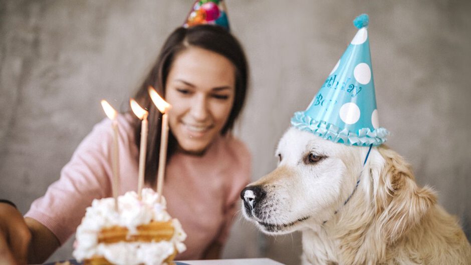 Het is dierendag! Waarom vieren we dierendag op 4 oktober?