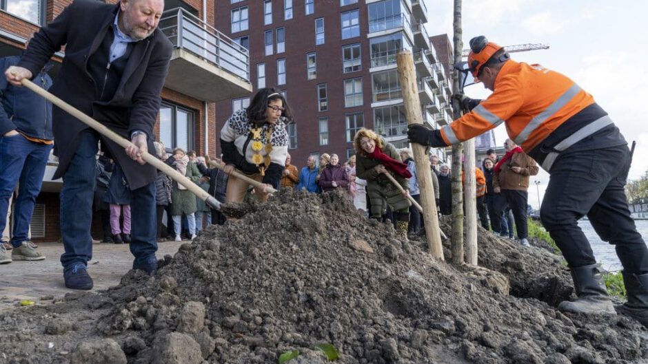 Eerste boom geplant langs het Jaagpad markeert start van bomenproject in Alkmaar
