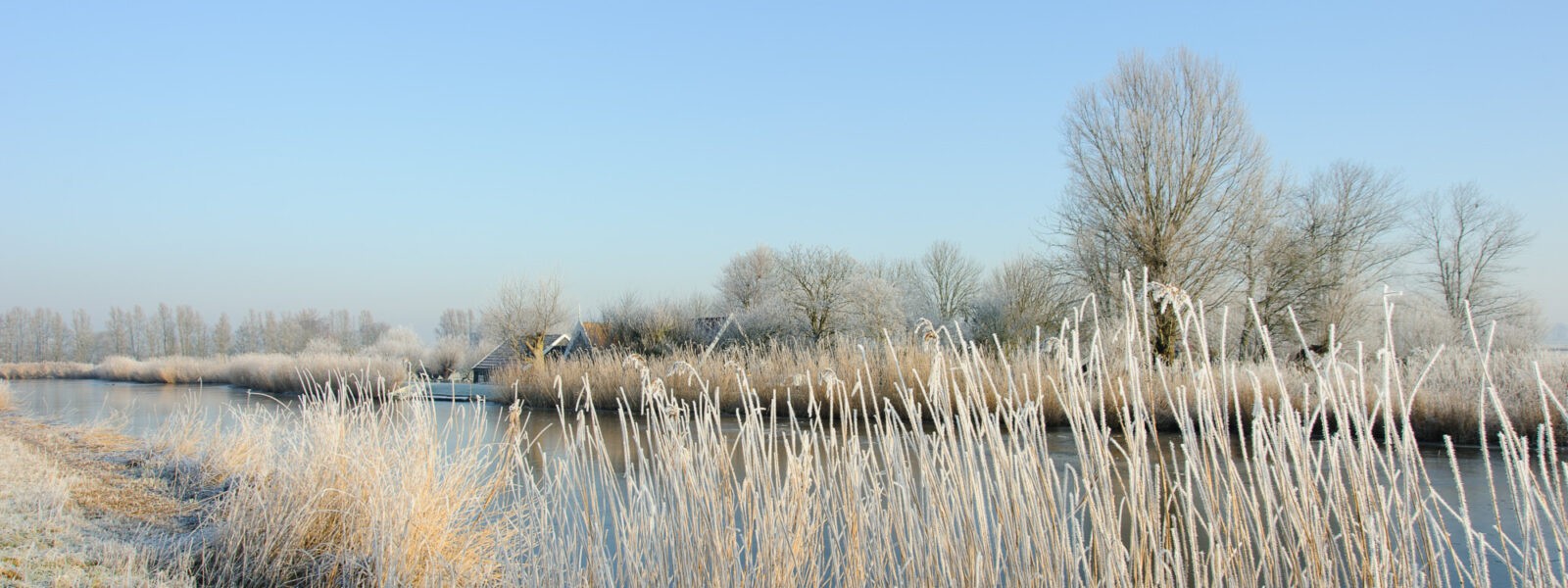 Wintergasten in de Eilandspolder: bekijk ze vanuit de excursieboot