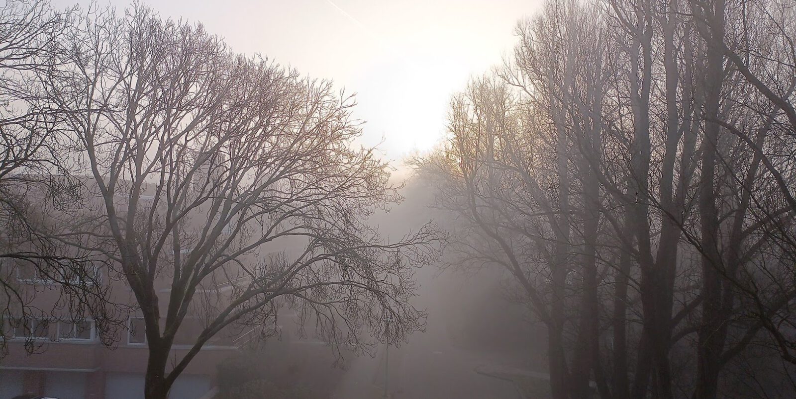 Na winderige jaarwisseling op weg dalende temperaturen