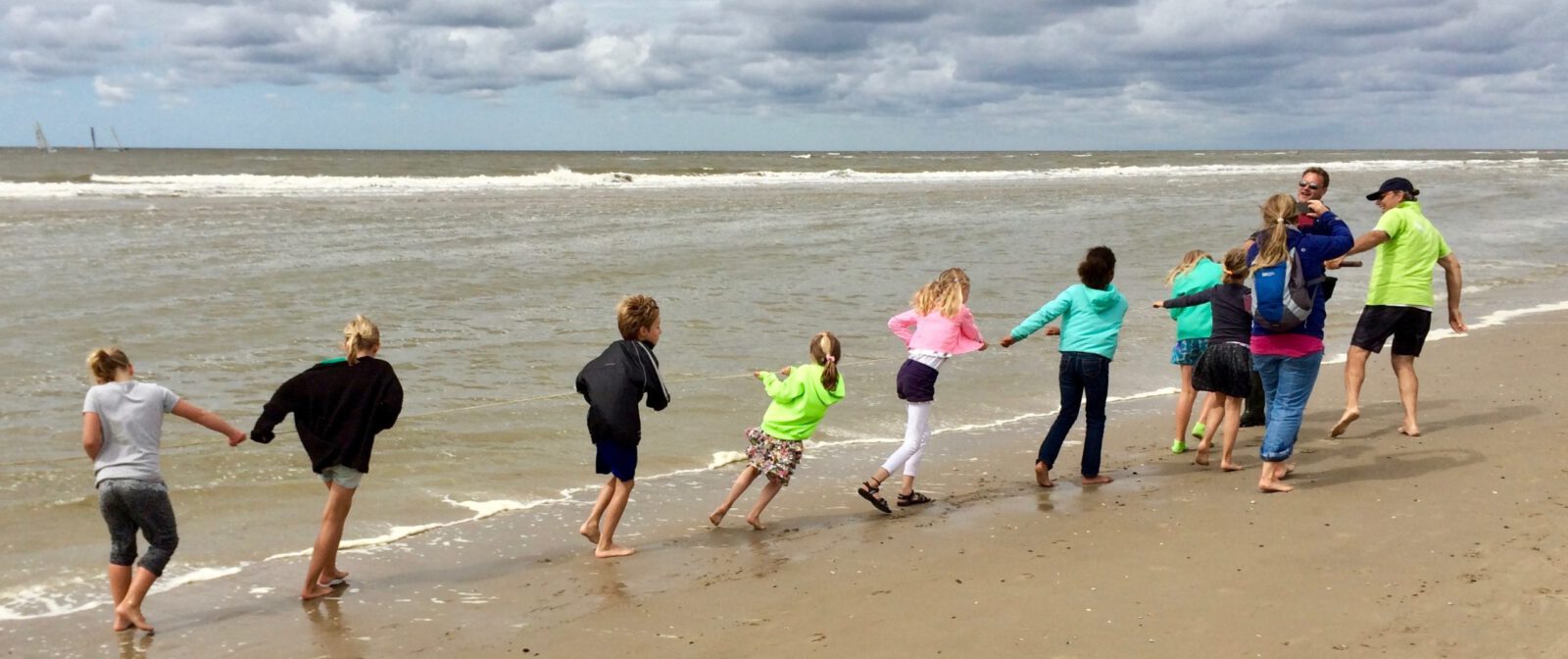 Koren in Bergen aan Zee