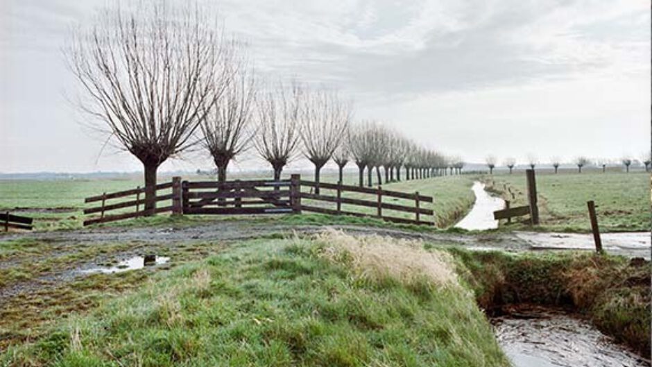 € 5 miljoen subsidie voor versterking netwerk landschapselementen