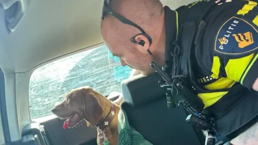 Agent redt hond uit oververhitte auto in Egmond aan Zee