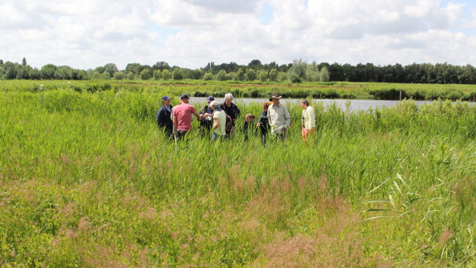 Met de natuurgids op zoek naar eetbare planten in de Eilandspolder