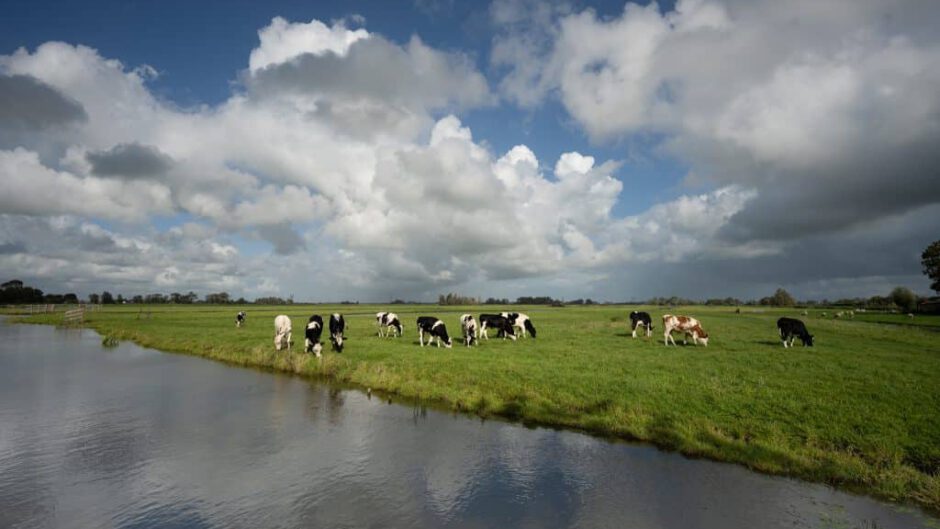 Nieuw wandelavontuur in Regio Alkmaar