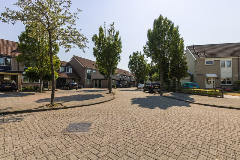 Scheve stoeptegels, scheuren in de weg, Daalmeer Alkmaar verloederd