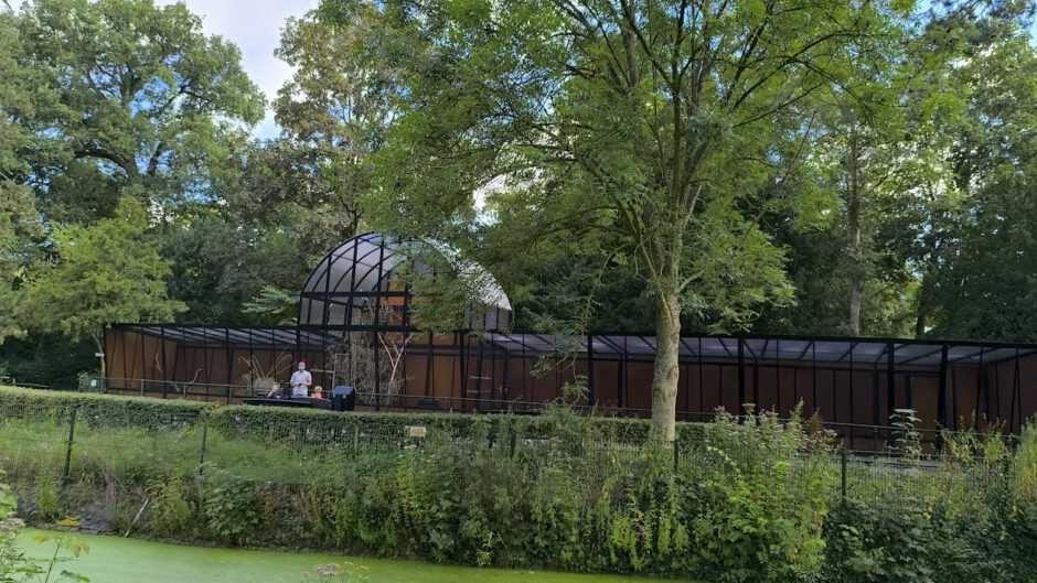 Laatste hand aan vernieuwde volière bij Stadsboerderij de Hout