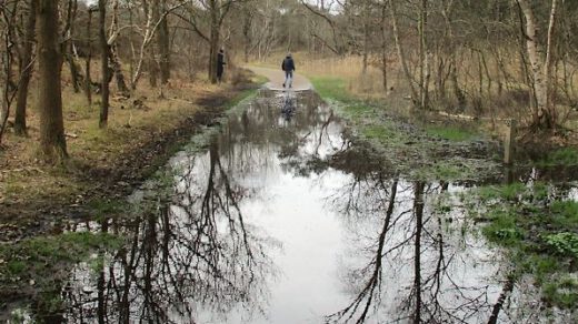 Fietsersbond: ‘PWN, doe iets aan de wateroverlast op de fietspaden’