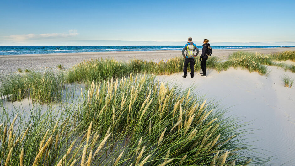 Waarom is het stil in de duinen?