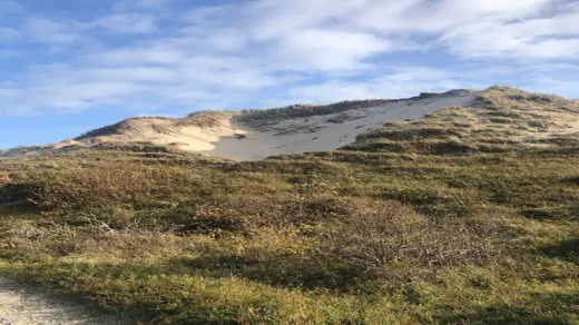 Hoe ontstaan dit soort duinen en hoe worden ze genoemd?