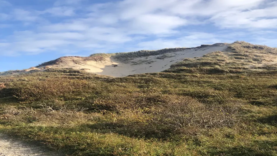 Hoe ontstaan dit soort duinen en hoe worden ze genoemd?