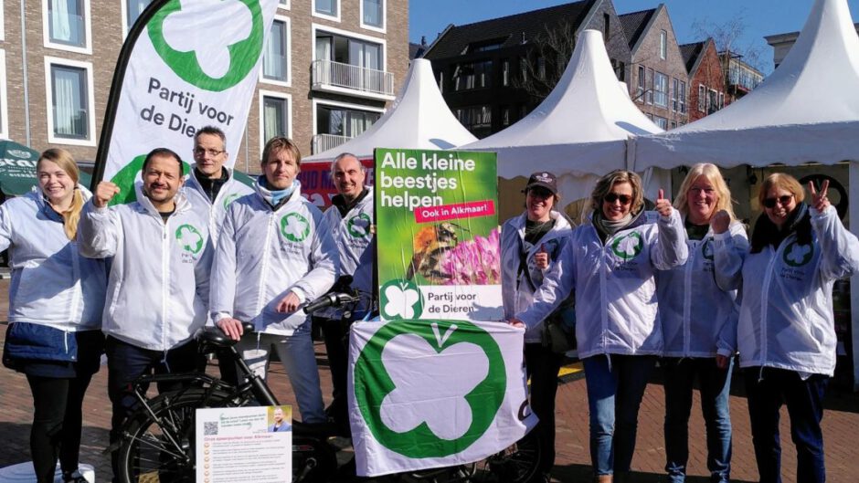 Partij voor de Dieren wil dat Alkmaar gaat 'rewilden'