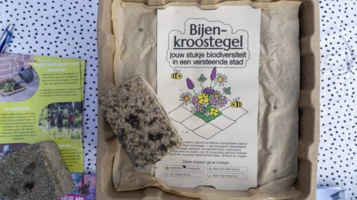 Grijze tuintegel eruit, bloemen erin!