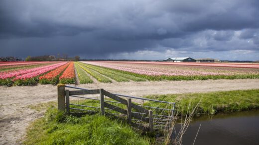 Jaarlijkse controle afvalwater bollentelers