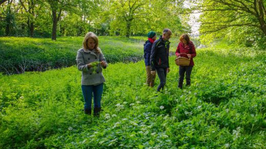 Duik drie maanden in de wereld van eetbare wilde planten