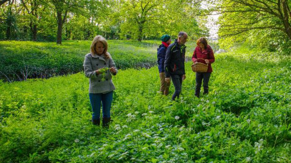 Duik drie maanden in de wereld van eetbare wilde planten