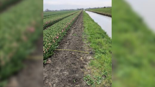 Hoogheemraadschap voert jaarlijkse controle afvalwater bollentelers uit