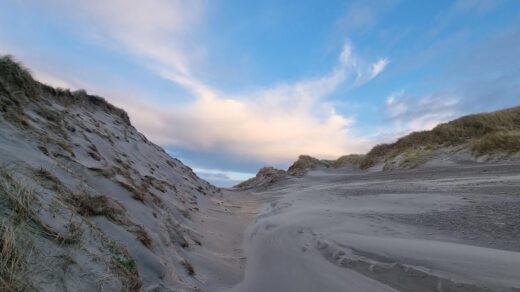 Werkzaamheden duinen voor herstel en bescherming natuur