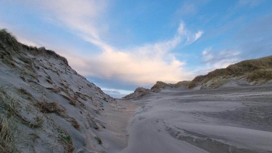 Werkzaamheden duinen voor herstel en bescherming natuur