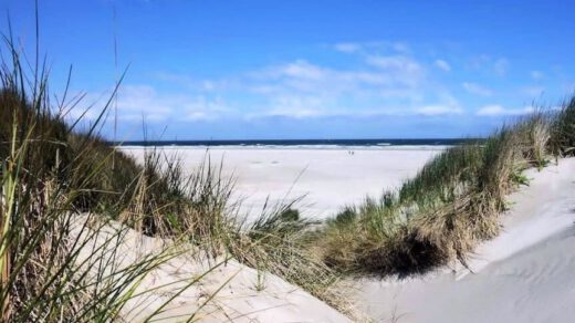 Complotdenkers bedreigen het bedrijf dat sleuven graaft in de duinen