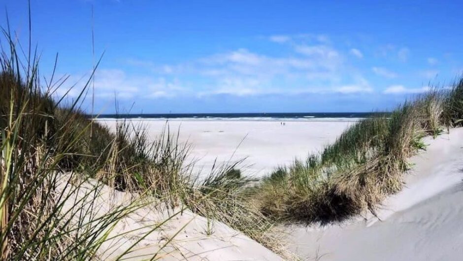 Complotdenkers bedreigen het bedrijf dat sleuven graaft in de duinen