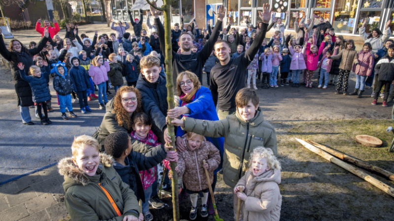 Gemeente Alkmaar plant 160 bomen op schoolpleinen