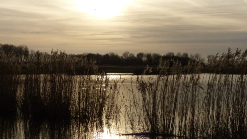 Vogelwandeling Geestmerambacht