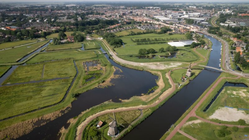 Broedende vogels in de Oudorperhout